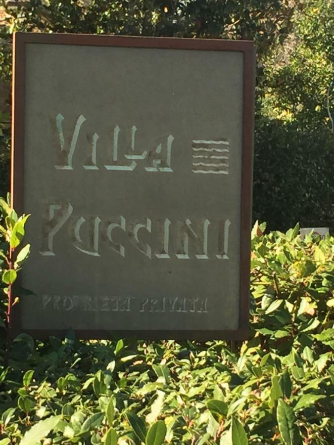Melon'S House Villa Торе дел Лаго Пучини Екстериор снимка